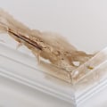 Licensing, Bonding, and Insurance: What to Look For in a Good Waterproofing Contractor