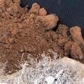 Licensing, Bonding, and Insurance for Basement Waterproofing Contractors