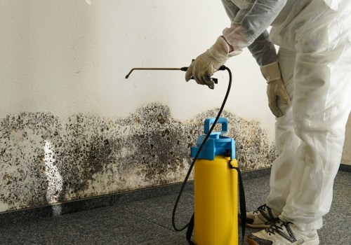 How to Clean Up Mold and Mildew After a Flood in NJ