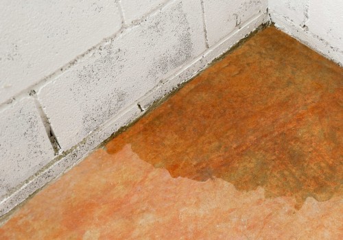 Inspecting Gutters and Downspouts for Clogs or Damage: Prevent Basement Flooding